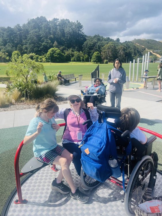 Maidstone Park Accessible roundabout